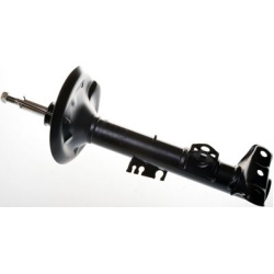 amortizatorius
                                DENCKERMANN                                                DSB076G, Nenurodyta