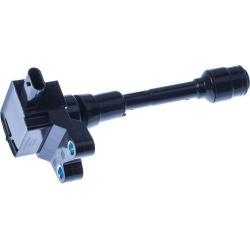 ritė, uždegimas
                                DENCKERMANN                                                E100060, Nenurod