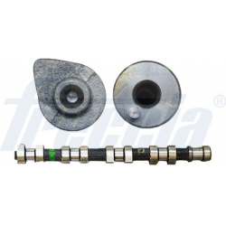 skirstomasis velenas
                                FRECCIA                                                CM05-2174, FRECCI