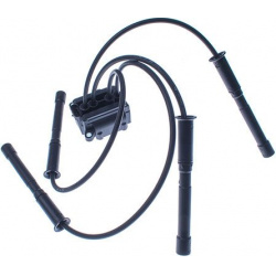 ritė, uždegimas
                                DENCKERMANN                                                E100008, Nenurod