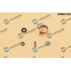 remonto komplektas, įpurškimo antgalis
                                Dr.Motor Automotive                                 