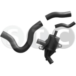 vožtuvas, variklio bloko alsuoklis
                                STC                                                T43856