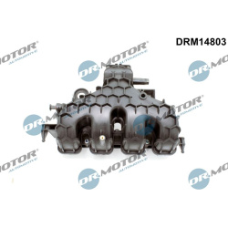 įsiurbimo kolektoriaus modulis
                                Dr.Motor Automotive                                          