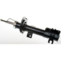 amortizatorius
                                DENCKERMANN                                                DSB197G, Nenurodyta