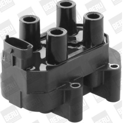 ritė, uždegimas
BorgWarner (BERU) ZS450, Bor