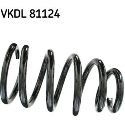 spyruoklė
SKF VKDL81124, SKF, VKDL81124, auto