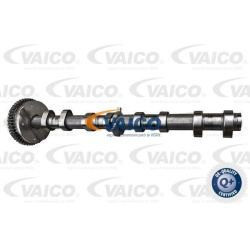 skirstomojo veleno reguliatorius Green Mobility Parts
                                VAICO                                  