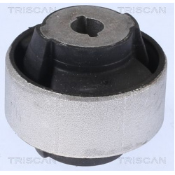 sailentblokas
                                TRISCAN                                                8500 10887, Nenurodytas 