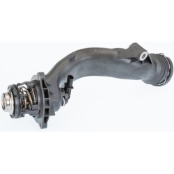 termostatas, aušinimo skystis
                                BorgWarner (Wahler)                                           