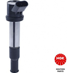 ritė, uždegimas
                                NGK                                                48256, NGK, 48256, auto 