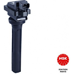 ritė, uždegimas
                                NGK                                                48285, NGK, 48285, auto 