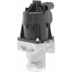 ERG vožtuvas
                                BorgWarner (Wahler)                                710559D, BorgWarner (Wahler)