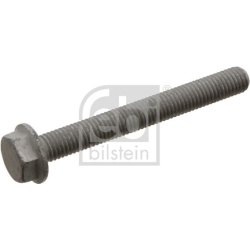 valdymo svirties varžtas
                                FEBI BILSTEIN                                                29278,