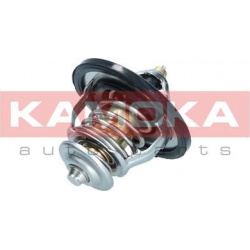 termostatas, aušinimo skystis
                                KAMOKA                                                7710098,