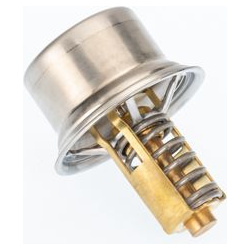 termostatas, aušinimo skystis
                                BorgWarner (Wahler)                                411678.81D,