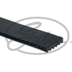 Diržas juostinis
                                GATES                                6PK1120EST, GATES, 6PK1120EST, auto de