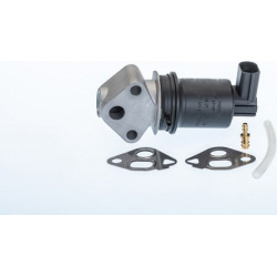 ERG vožtuvas
BorgWarner (Wahler) 710971R, Bor