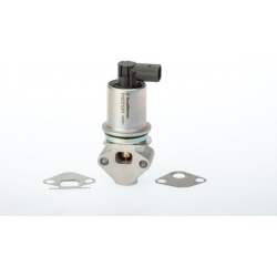 ERG vožtuvas
                                BorgWarner (Wahler)                                                710721D/1, B