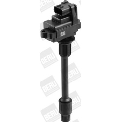 ritė, uždegimas
                                BorgWarner (BERU)                                                ZSE073, Bo