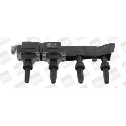 ritė, uždegimas
                                BorgWarner (BERU)                                                ZSE046, Bo