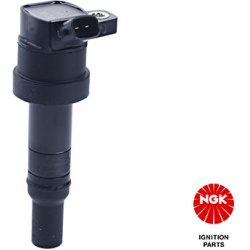 ritė, uždegimas
                                NGK                                                49054, NGK, 49054, auto 