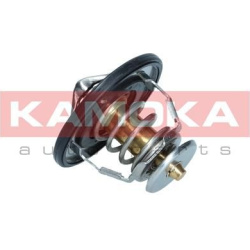 termostatas, aušinimo skystis
                                KAMOKA                                                7710101,