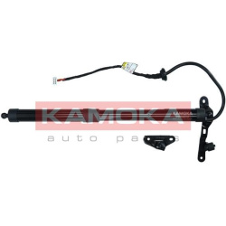 Galinių durų elektros variklis
                                KAMOKA                                                709407