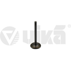 įsiurbimo vožtuvas
                                vika                                                11090176601, vika, 1