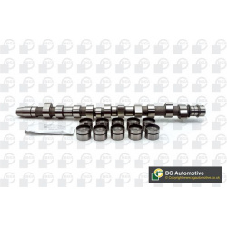 skirstomojo veleno komplektas
                                BGA                                                CS3381K, BGA