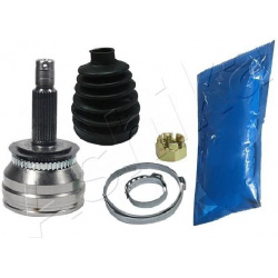 pusašio šarnyras
                                ASHIKA                                                62-0H-H41, ASHIKA, 6