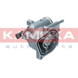 termostatas, aušinimo skystis
                                KAMOKA                                                7710151,