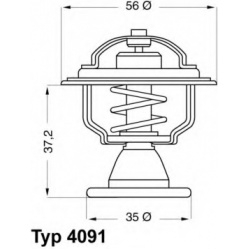 BorgWarner (Wahler)                                                4091.82, BorgWarner (Wahler), 409182, auto detalė