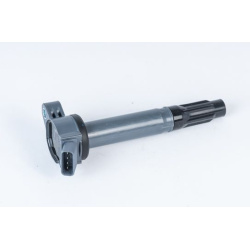 ritė, uždegimas
                                BorgWarner (BERU)                                                ZSE202, Bo