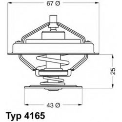 BorgWarner (Wahler)                                                4165.79, BorgWarner (Wahler), 416579, auto detalė