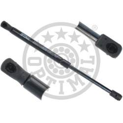 dujinė spyruoklė, bagažinė
                                OPTIMAL                                                AG-5164