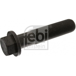smagračio varžtas
                                FEBI BILSTEIN                                                06076, FEBI 