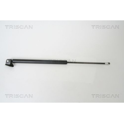 dujinė spyruoklė, bagažinė
                                TRISCAN                                                8710 50