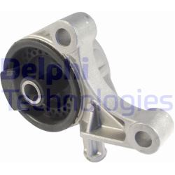 variklio montavimas
DELPHI TEM006, Nenurodytas