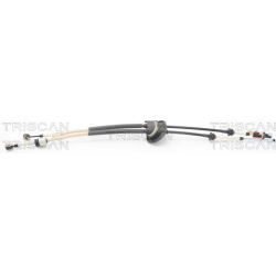 trosas, neautomatinė transmisija
                                TRISCAN                                                8140