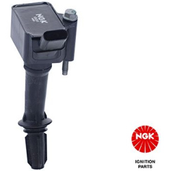 ritė, uždegimas
                                NGK                                49099, NGK, 49099, auto detalė