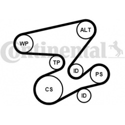 vandens siurblys + V formos rumbuotas diržas, komplektas
                                CONTITECH                          