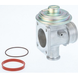 ERG vožtuvas
                                BorgWarner (Wahler)                                                710921D/1, B