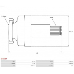 krumpliaratis, starteris AS
                                AS-PL                                SD2019P, AS-PL, SD2019P, aut