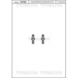 varžtų komplektas, stabdžių diskas
                                TRISCAN                                               