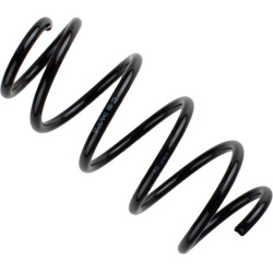 spyruoklė BILSTEIN - B3 OE Replacement
                                                37-317041, BILSTEIN, 37-317041, auto 