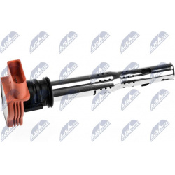 ritė, uždegimas
                                NTY-SPEC                                                ECZ-AU-006, NTY-SPE