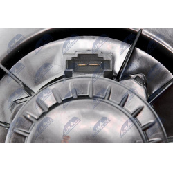 vidaus pūtiklis
                                NTY-SPEC                                EWN-VW-005, NTY-SPEC, EWN-VW-005, au