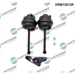remonto komplektas, įsiurbimo kolektoriaus modulis
                                Dr.Motor Automotive                      
