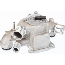 termostatas, aušinimo skystis
BorgWarner (Wahler)