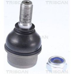 Šarnyras
                                TRISCAN                                                8500 15599, Nenurodytas gami